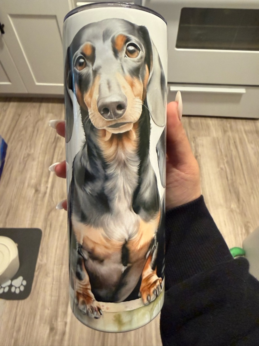 Dachshund Art Stainless Tumbler - Black & Tan